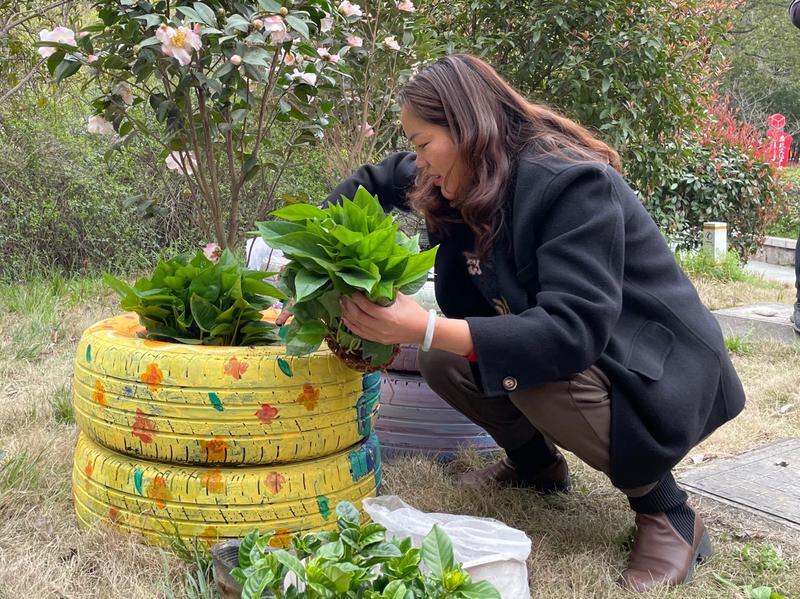 彩绘轮胎种绿植变废为宝美美杭