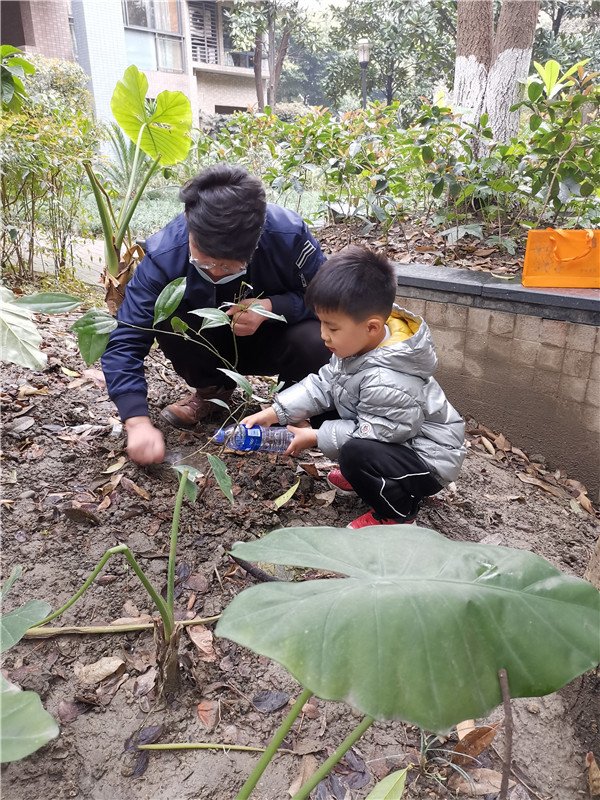 于是小朋友们就开始了自己的种植之旅,在实际操作,亲身体验中感受种植