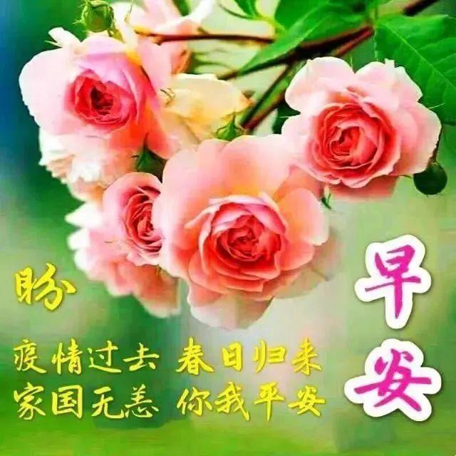 原创早晨问候祝福图片唯美温馨带字最新早晨好问候语动态图片表情