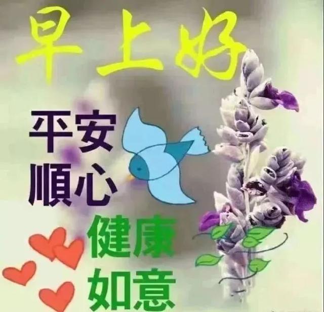 早上好,清晨迎接崭新的一天,愿你天天快乐如意,幸福相随!