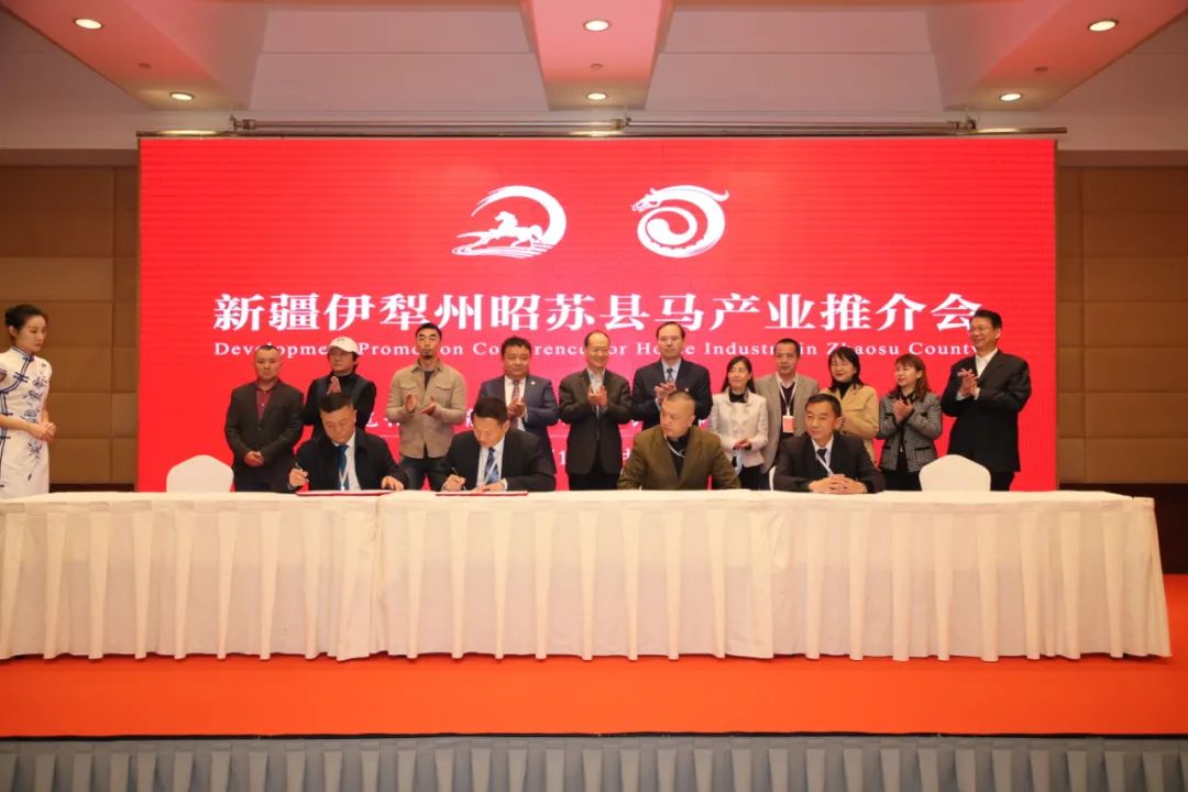 签约仪式昭苏县副县长 贺娇龙发布2021年新疆伊犁天马文化国际旅游节