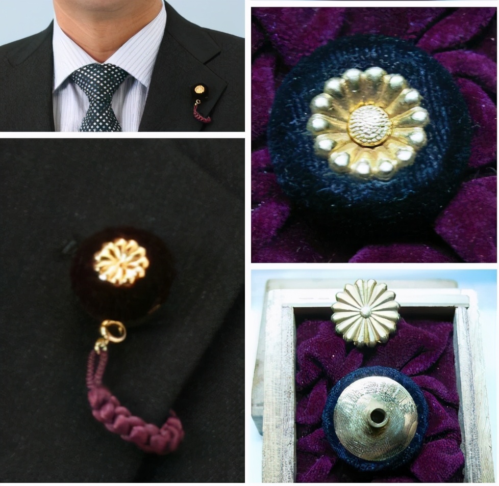 另外,日本的议员徽章也有不带绒布包裹的版本,就是一枚纯正的菊花