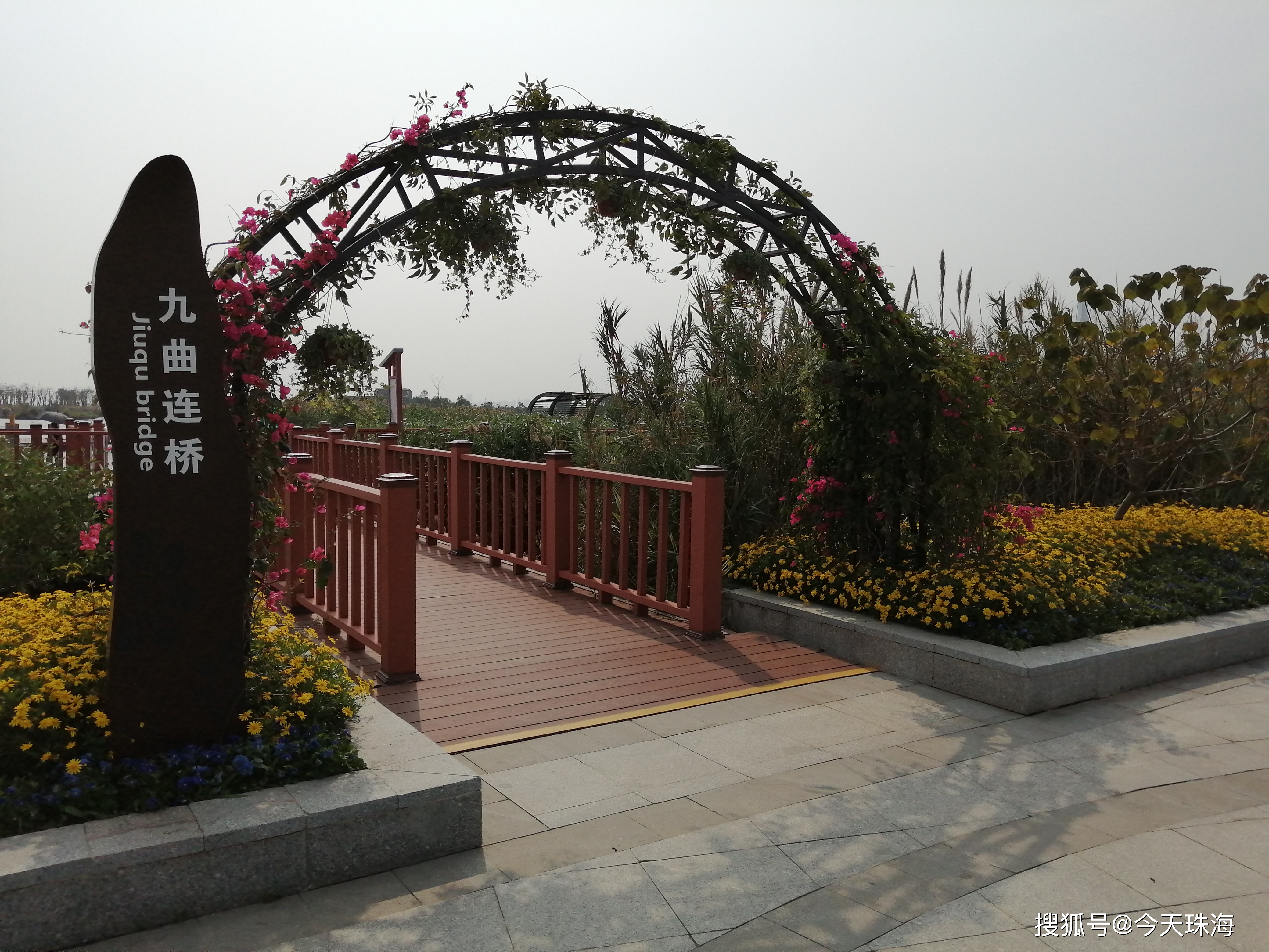 珠海横琴芒洲湿地公园|芒海浮绿,长湾聚灵>来珠海玩最