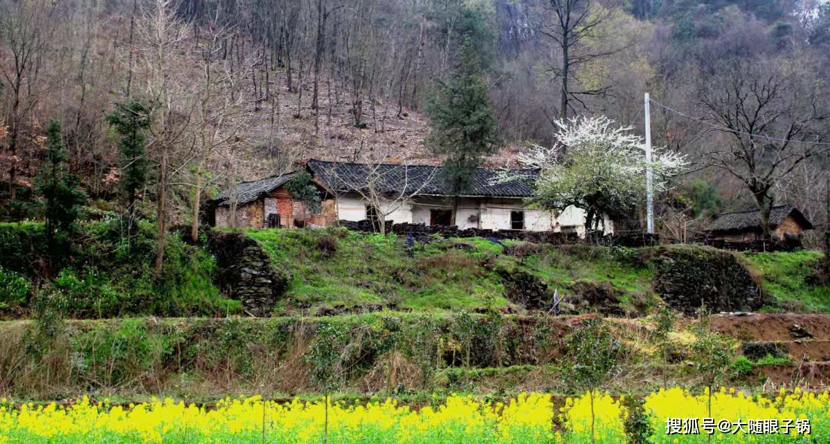 随州市曾都区洛阳镇小岭冲村春景