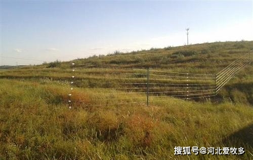划区轮牧对治理草地荒漠化具有必要性