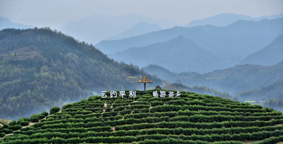 相约安康春来早 游巴山画廊岚皋 逛醉美平利