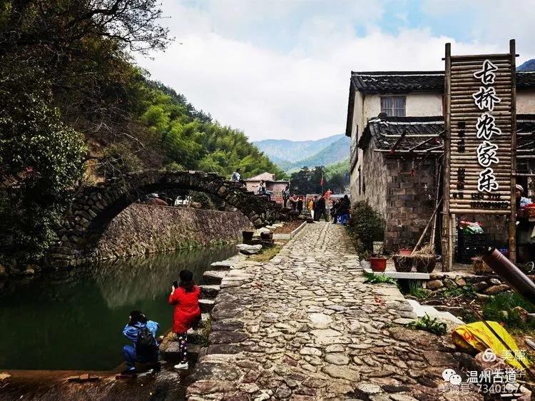 原创美丽古村桃花情缘春游缙云岩下村