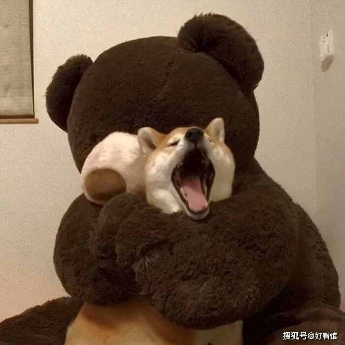 微信头像_沙雕头像系列,逗比沙雕头像大全(100张)_搞笑头像【第160期