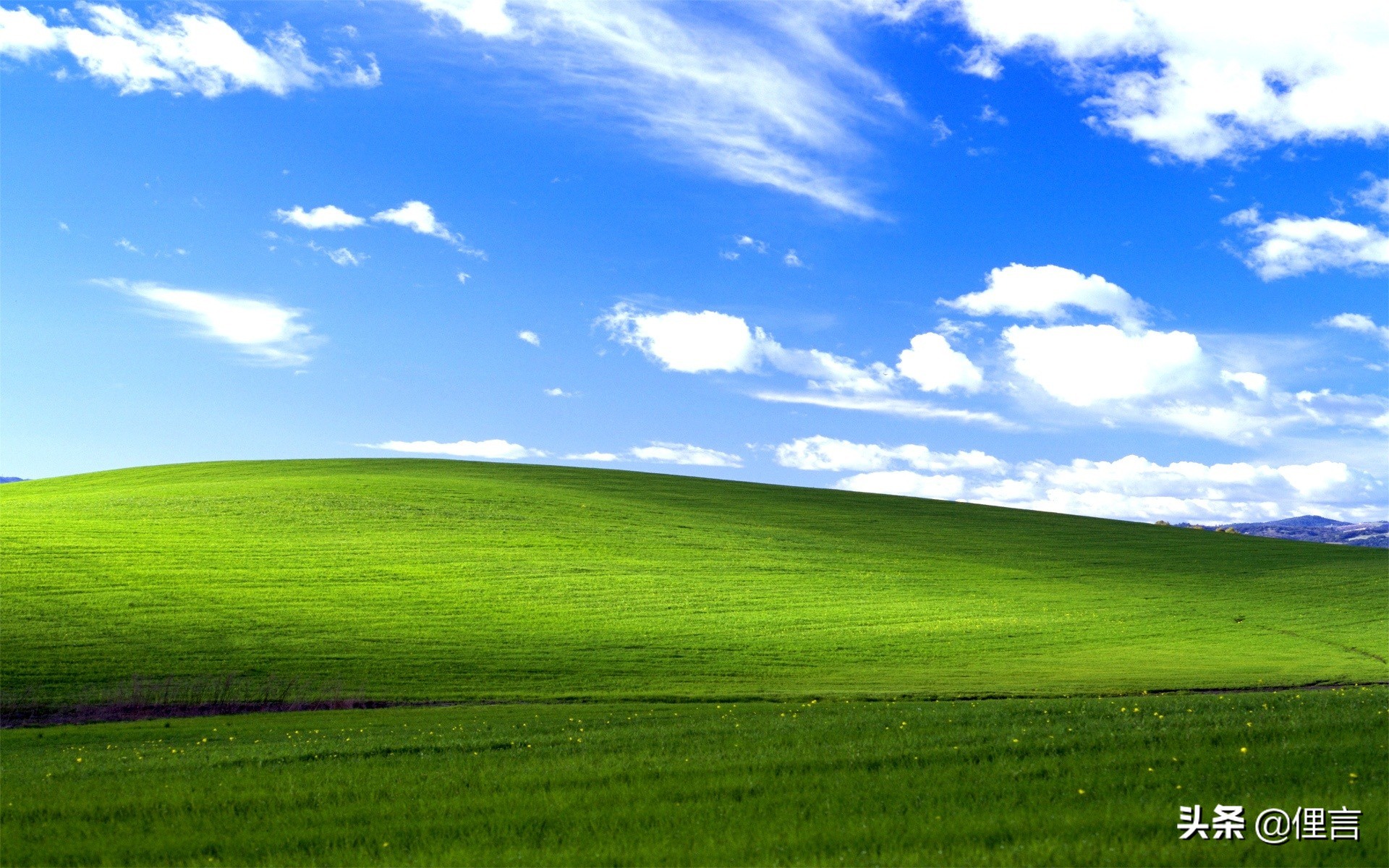 windows xp 开机画面