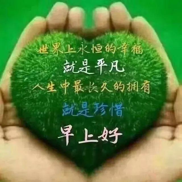 温馨祝福早上好表情图片分享 早上好暖心问候语短信