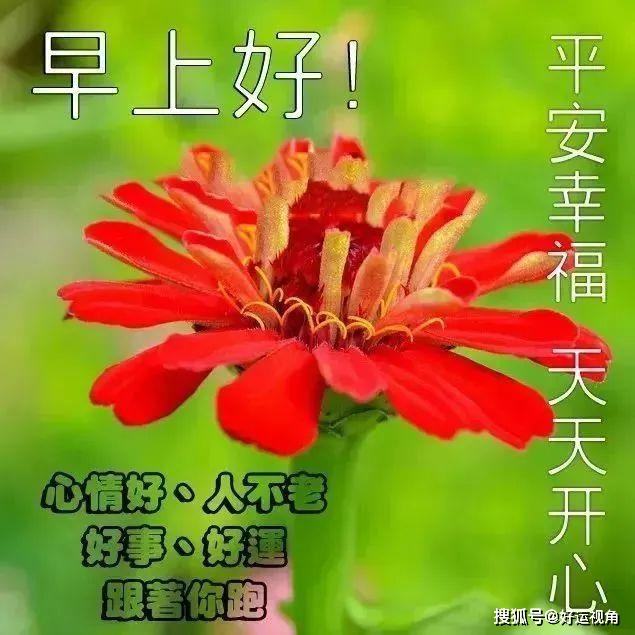 原创温馨问候大家早晨好漂亮祝福图片带字早上好暖心祝福句子