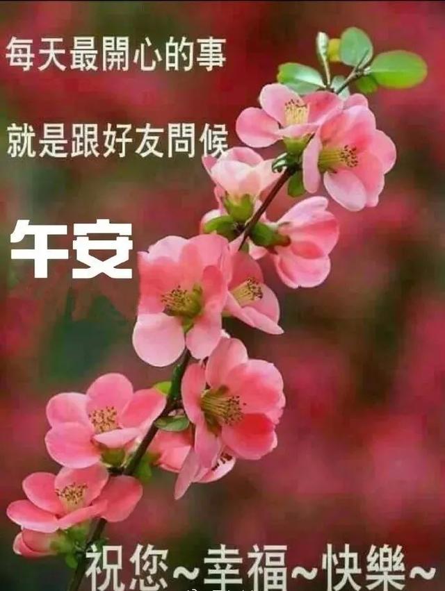 原创清晨问候大家早上好的早安问候祝福语最美的早安正能量祝福问候