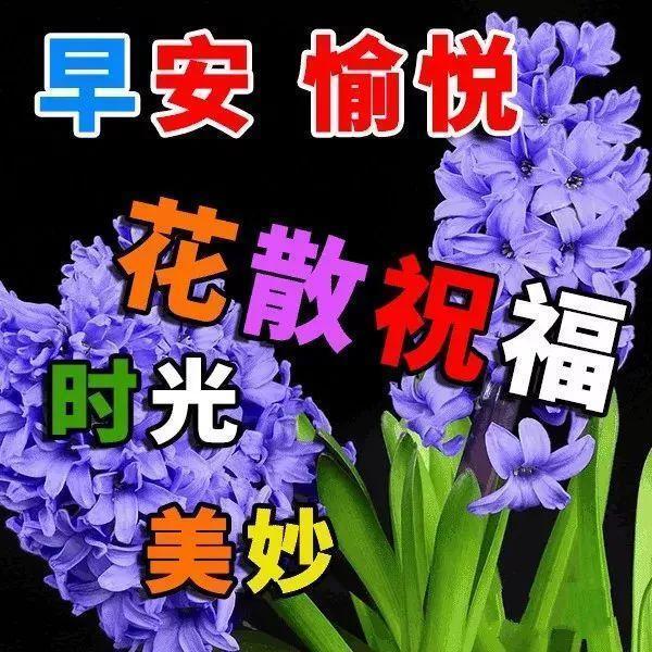 最新版早安表情图片免打字 朋友圈最美早上好祝福语简短