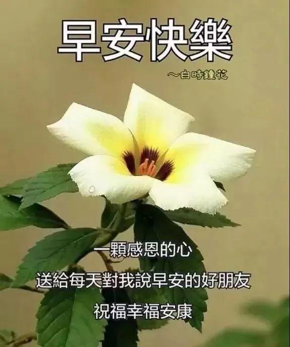 新版早安正能量问候图片早上好问候祝福图片带字