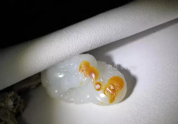 解锁!貔貅姿势大不同