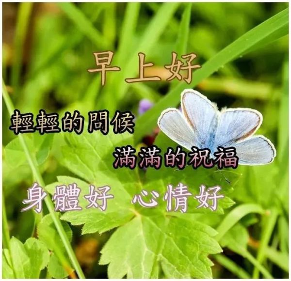 周二最新版早上好问候语超漂亮的图片带字 早晨好问候