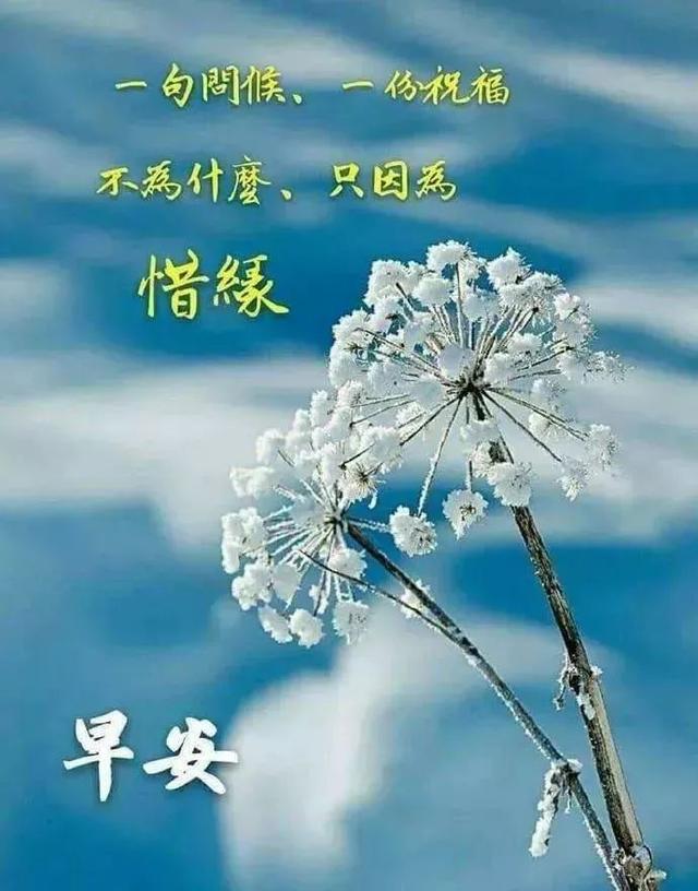 原创微信早上发朋友圈的早安问候祝福语早安最美的问候图片表情