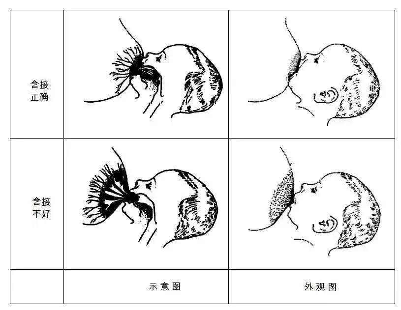 躺着不累还容易喂半躺式哺乳你get了吗