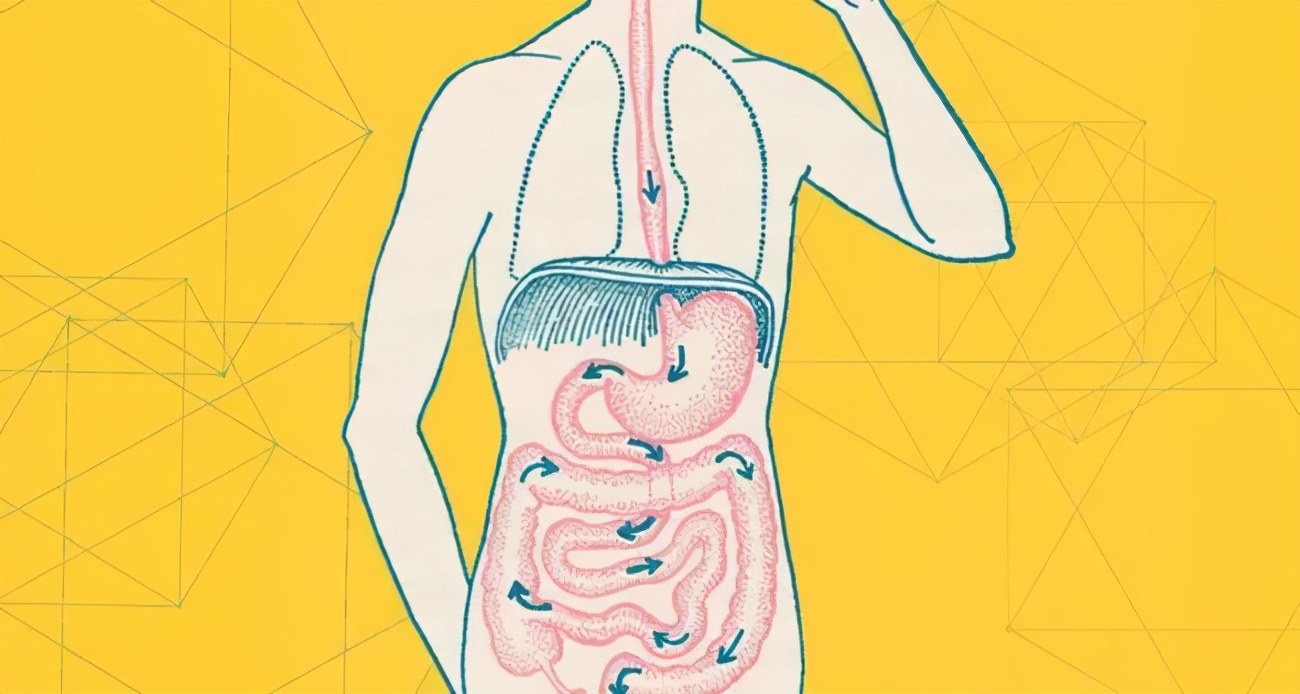 最新研究:肠道菌群对神经系统性疾病的社交行为障碍有影响_微生物