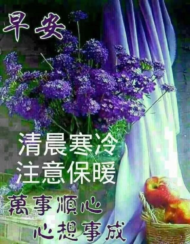 最新版很暖心早安表情动画句子,很美的早安问候语短信