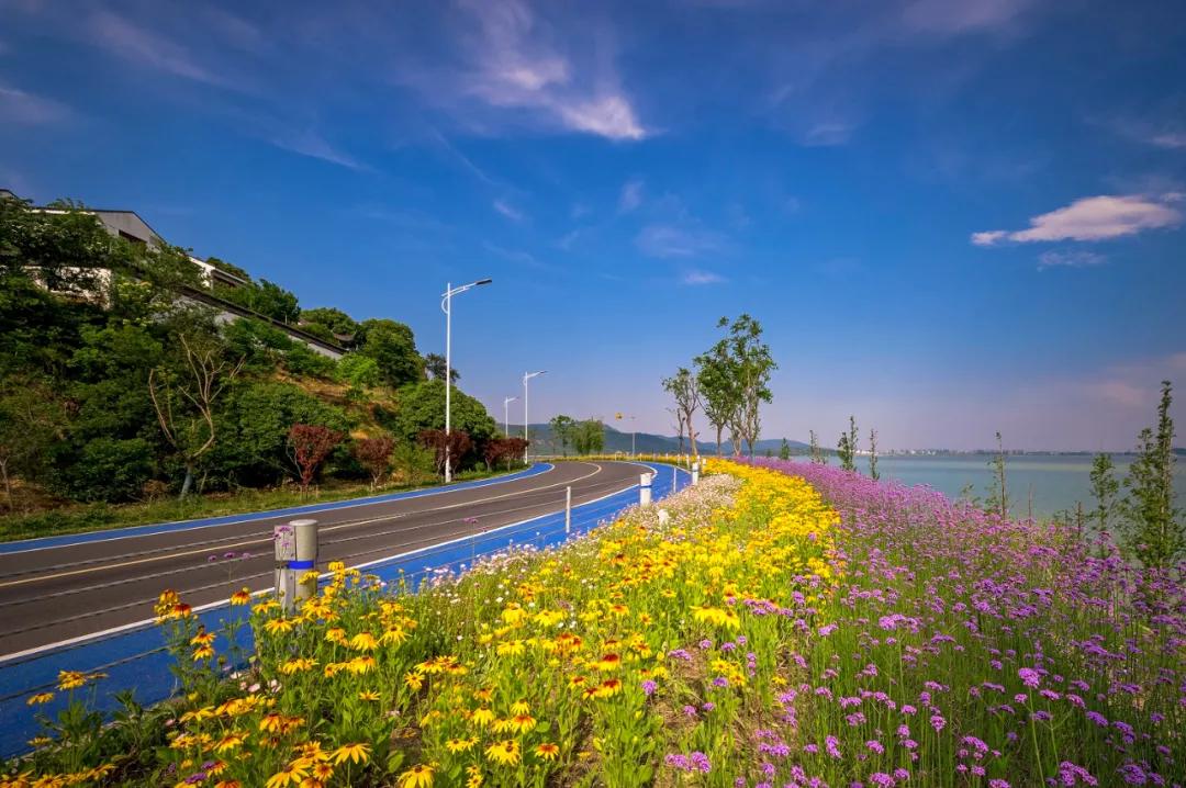 最美的风景在路上 环太湖有这样一条蓝跑道 全长约26公里,沿太湖大道