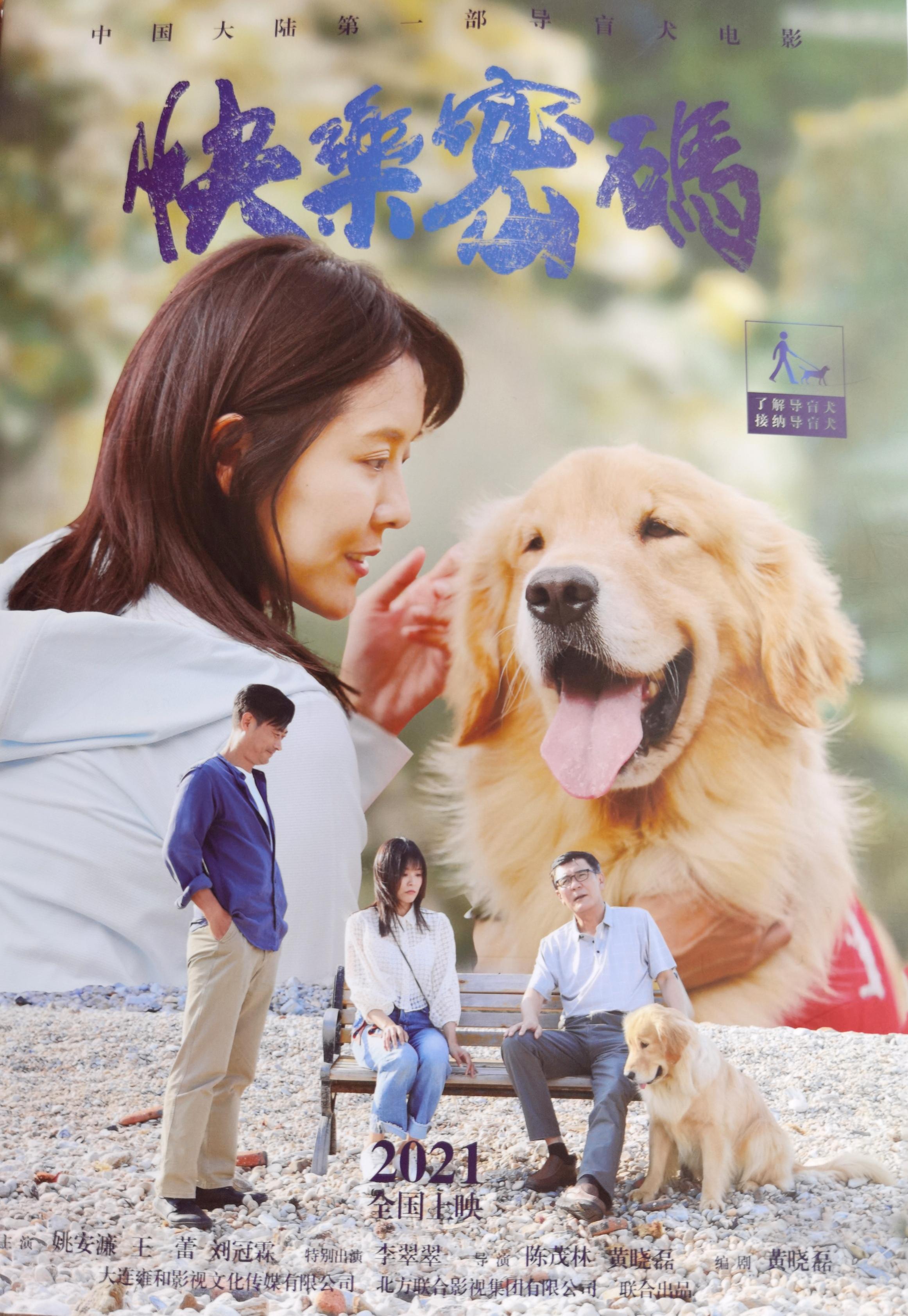 反映导盲犬的院线电影巜快乐密码》在大连试映