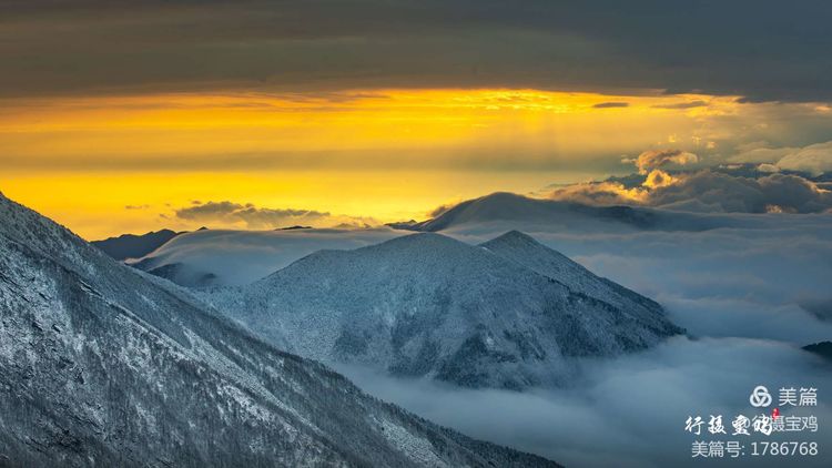 清明节太白山云海雾松
