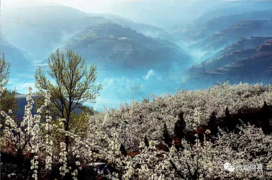 中国·隰县 第十一届梨花节欢迎您!