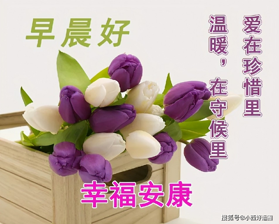 恩爱夫妻到白头" "送你四个瓶子 把祝福放在第一个,希望你幸福 把