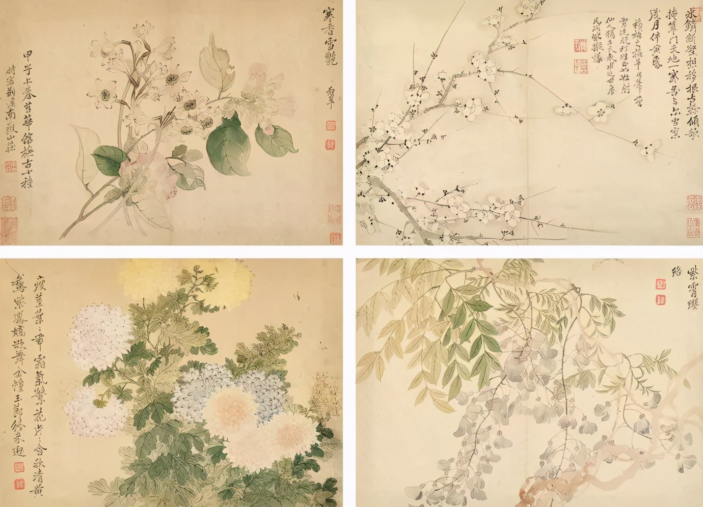 没骨画法复兴者——恽寿平