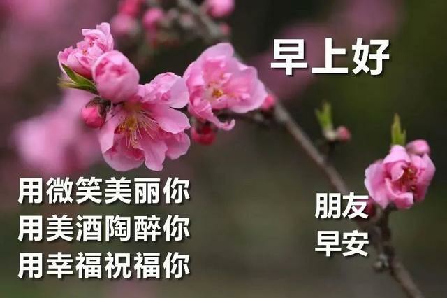 原创精选早上好祝福语句早安祝福带字图片早上开心快乐