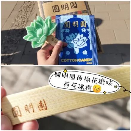 北京动物园系列长城系列西安系列看完这些文创系列雪糕是不是太太