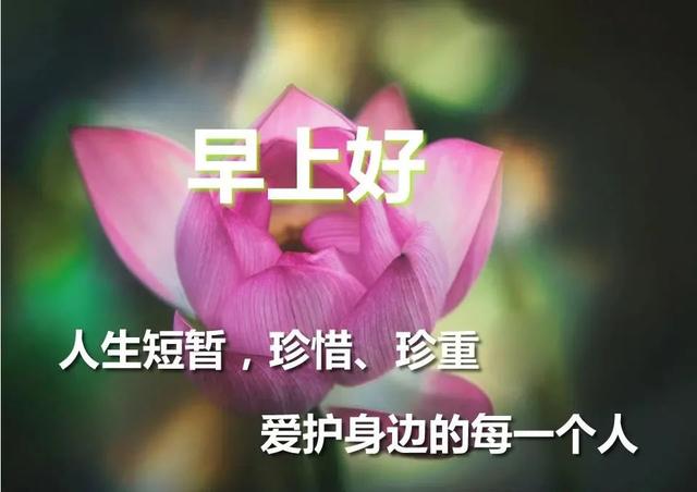 原创早安祝福词句图片精选,真切地祝福你,明天生活会更好,幸福永远将