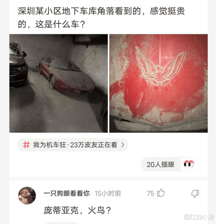 "某小区的地下车库看到的,这是什么车"暴殄天物,哈哈哈啊哈哈