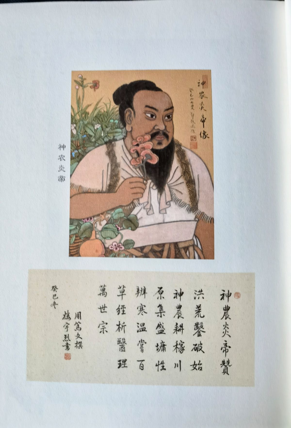 单守庆神农不只尝百草