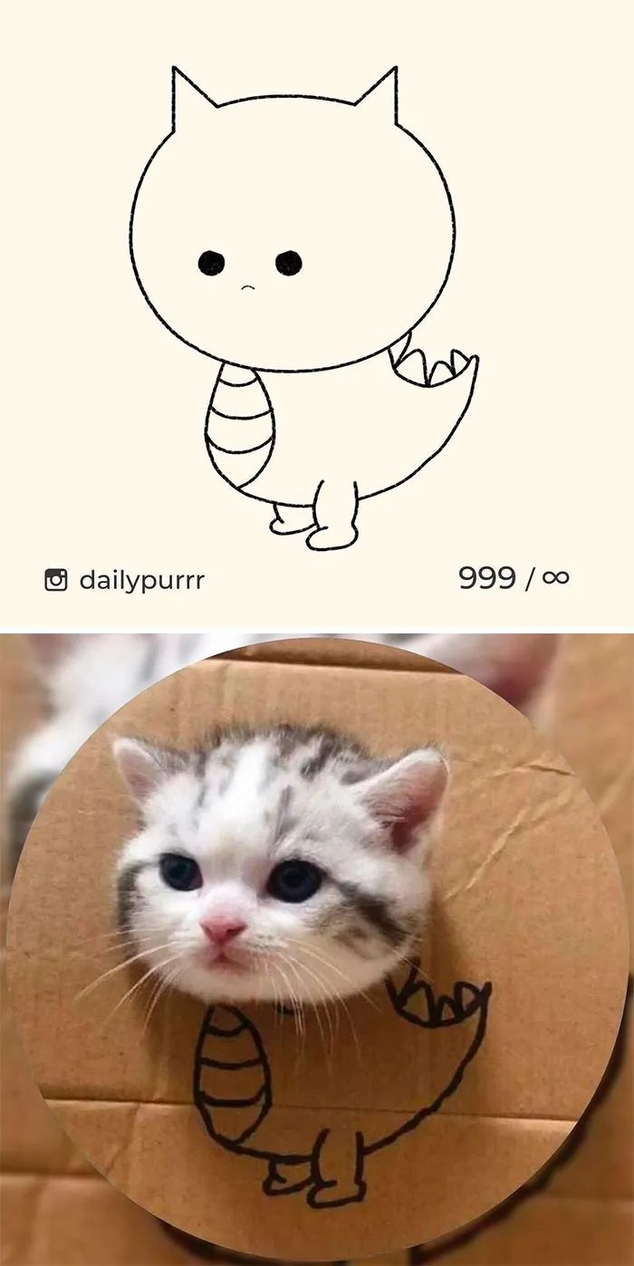 恐龙小猫咪就是它!