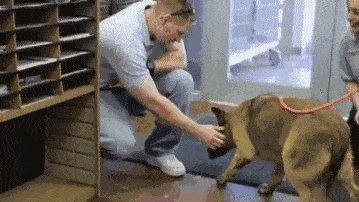 有一种催人泪下,叫失而复得——狗狗失踪七个月与主人