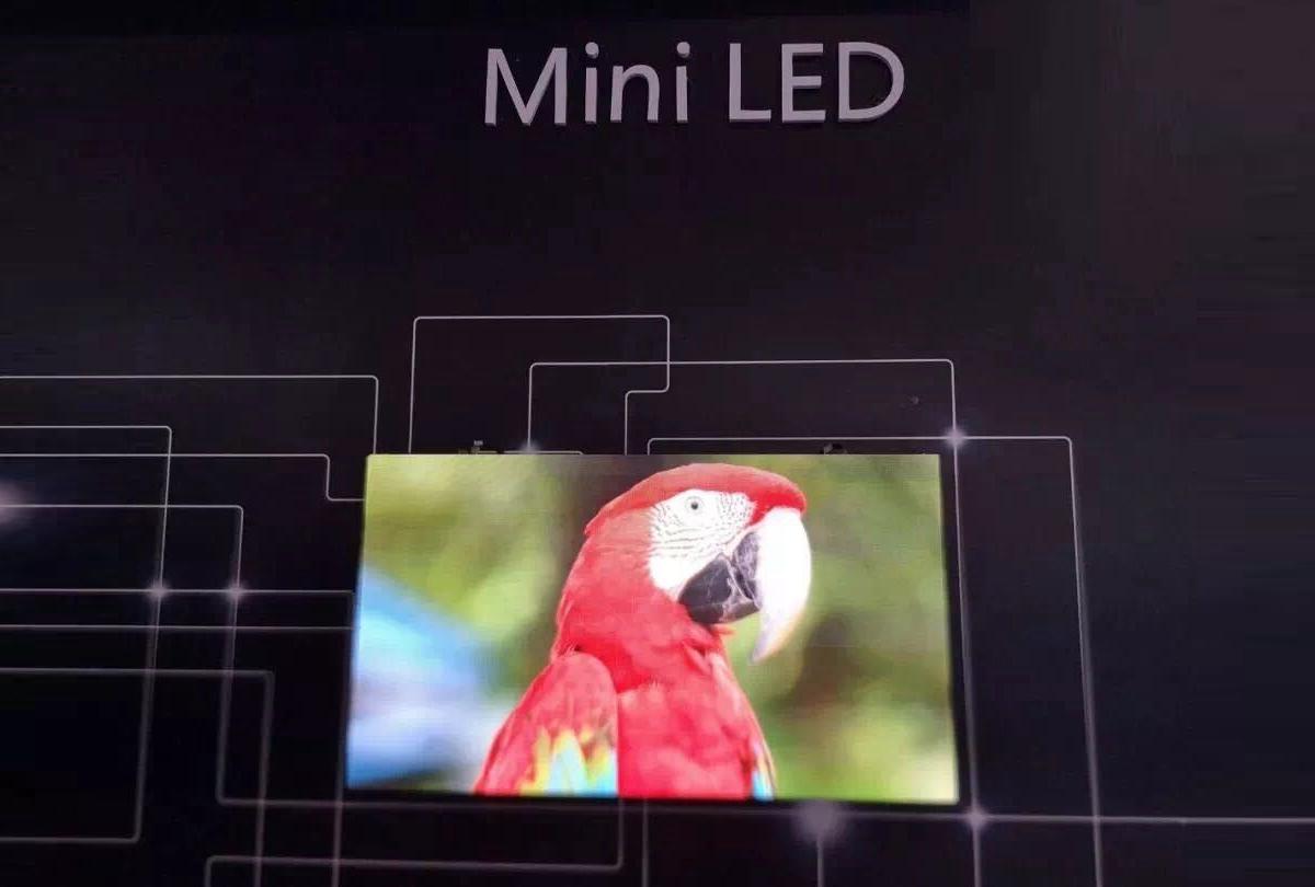 miniled对标oled,谁才是未来?