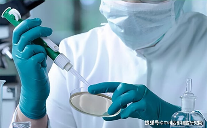 干细胞美容不做表面"功夫,3大功效实力抗衰老!