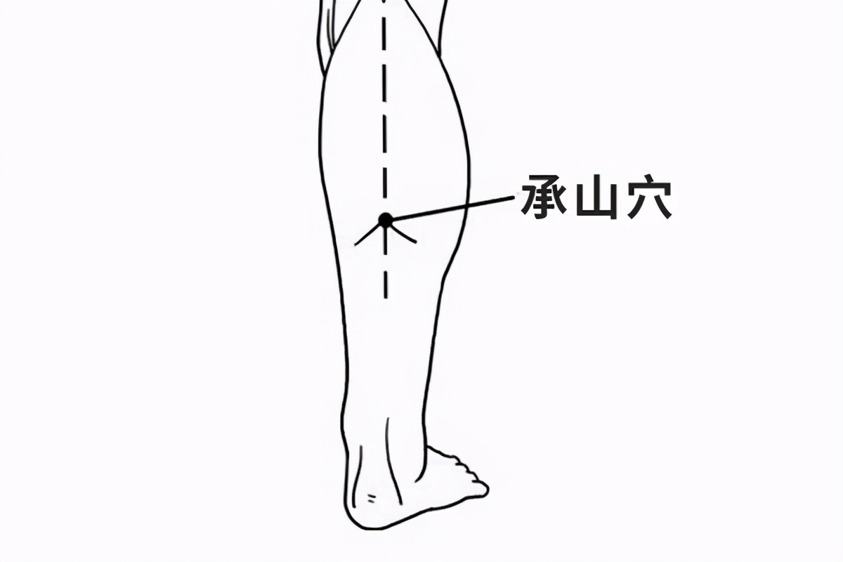 春季勤排"堵",身体不藏毒