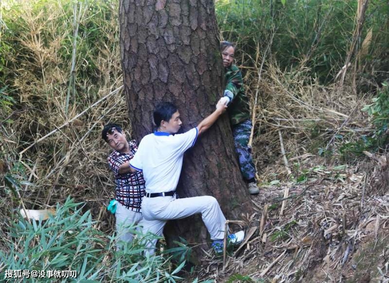 原创郭德纲说一人不进庙二人不看井三人不抱树这蕴含什么心酸道理