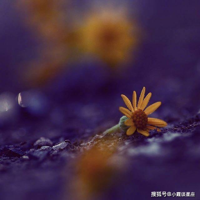适合发朋友圈的早安励志句子,充满阳光,元气满满