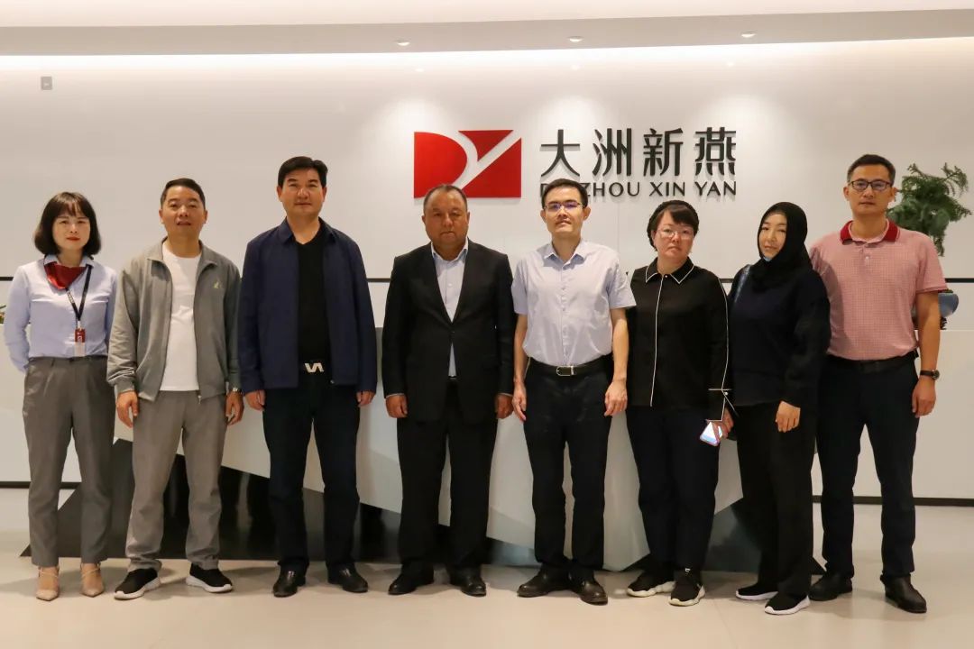千里帮扶东乡县,大洲新燕显担当