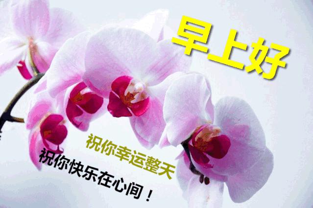 8张最新春天有创意的早安问好图片带字祝福语 微信群发暖心的祝福图片