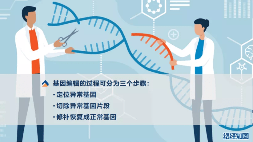 原创crispr/cas9基因编辑技术大热,非病毒载体技术助力递送系统优化