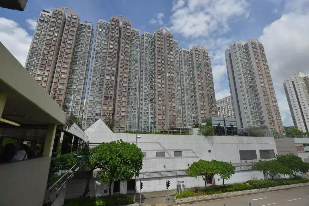 原创唐楼,公屋,私人楼宇,香港人都住什么房子?