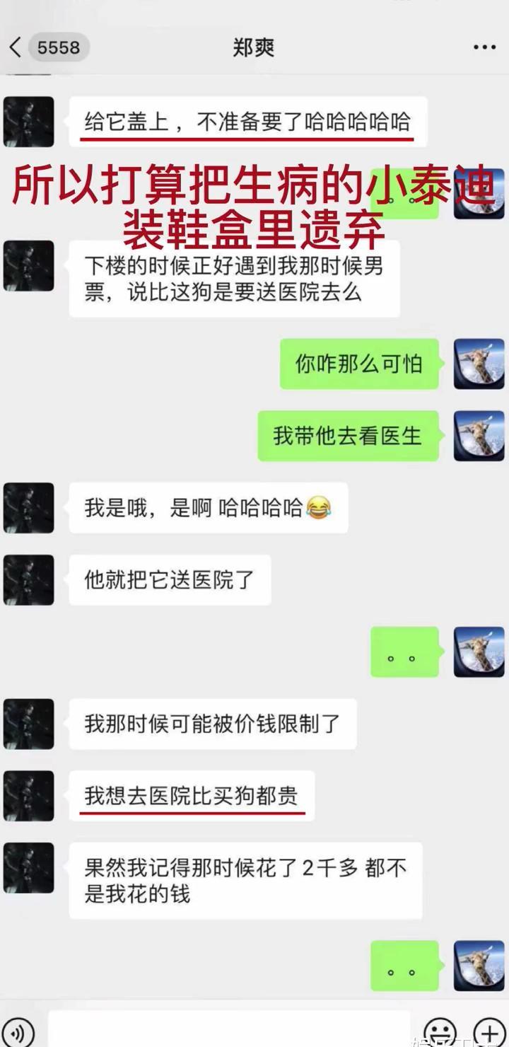 张恒否认教唆郑爽偷税漏税,音频聊天记录信息量好大