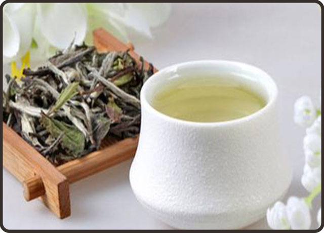 白茶的作用与功效
