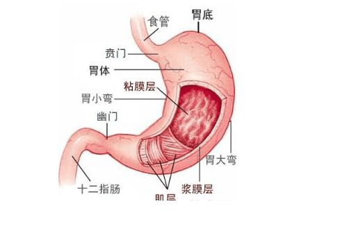 原创晚上睡觉胃里的食物会反流是咋回事该怎么解决