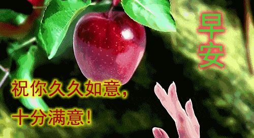 2021年特别好看的清晨早上好问候祝福动态表情图片 最新早安问候祝福